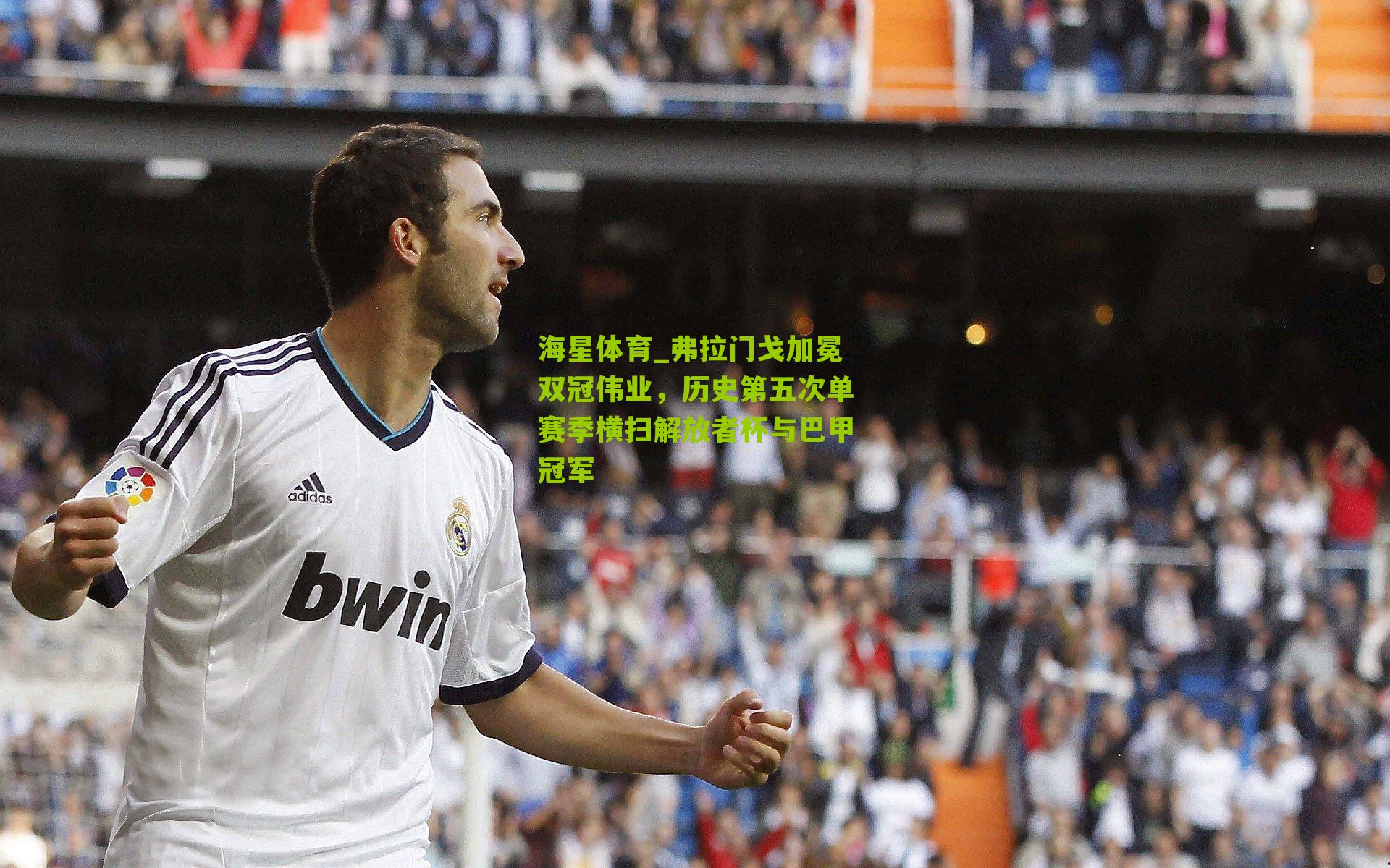 海星体育_弗拉门戈加冕双冠伟业，历史第五次单赛季横扫解放者杯与巴甲冠军